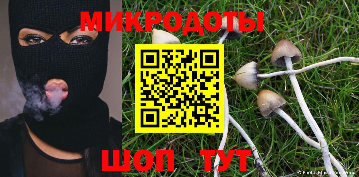 Псилоцибиновые грибы GOLDEN TEACHER  Вход с VPN  Псилоцибиновые грибы Cubensis  Кизляр 